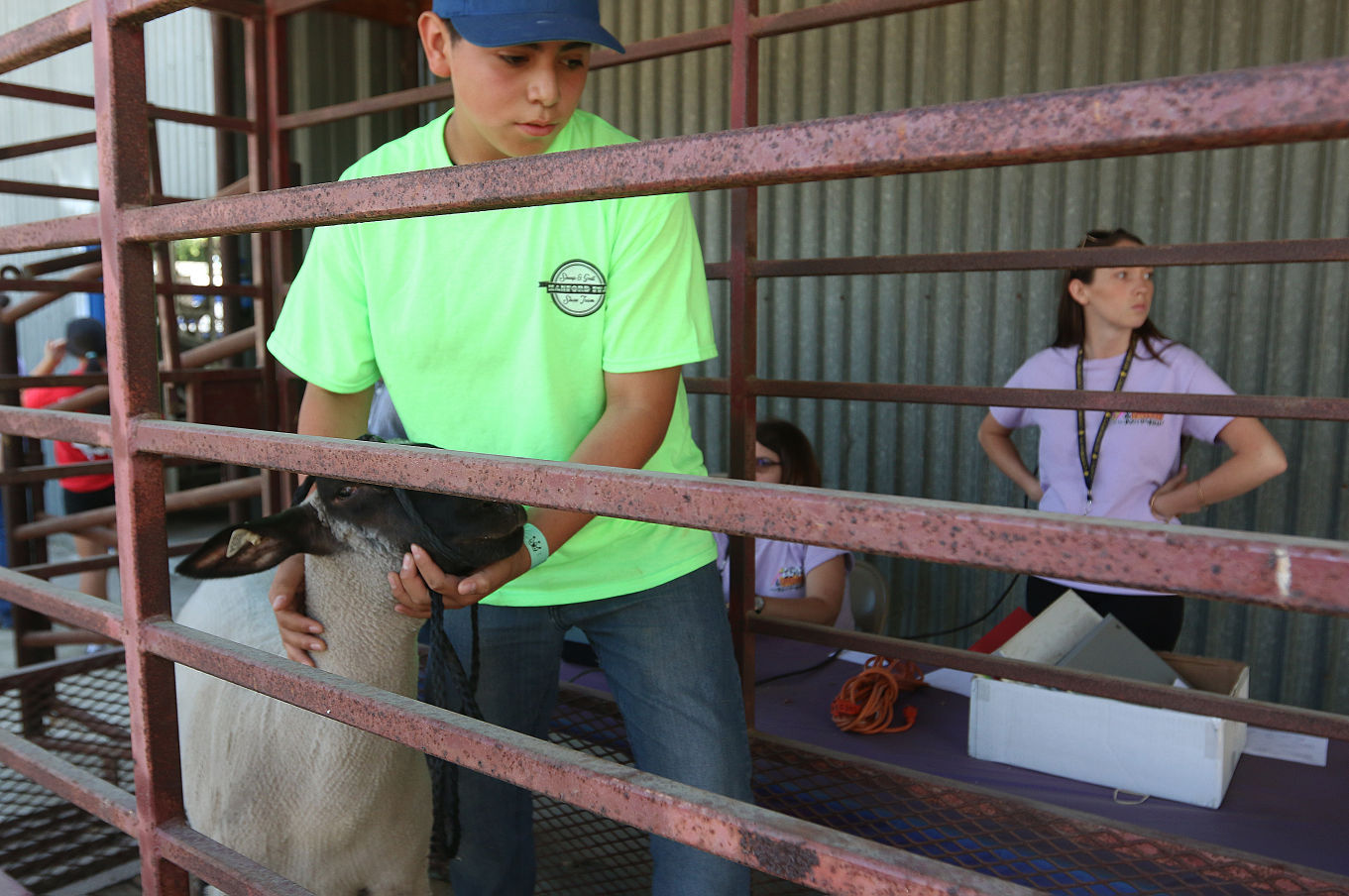 Kings Fair animal arrival
